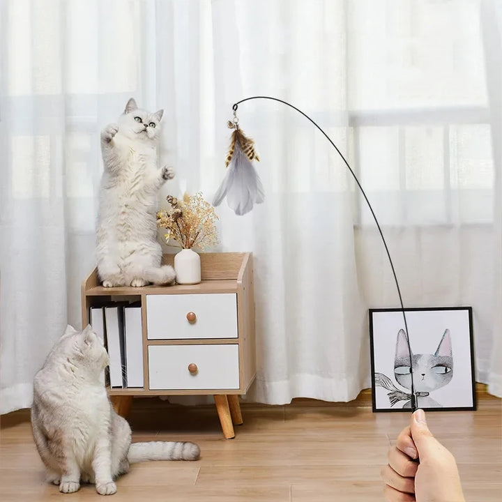 Hands-Free Pet Teaser Wand